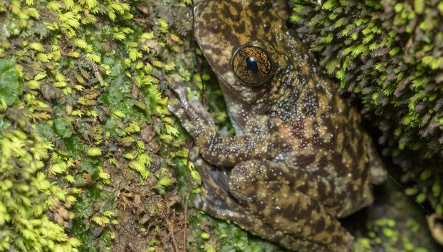 Atherton Tablelands Tour - Photo 3