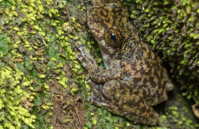 Atherton Tablelands Tour - Photo 3