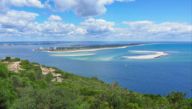 Observation de dauphins dans l'estuaire du Sado - Photo 2