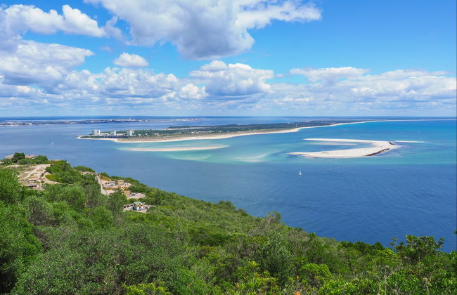 Sado Estuary Dolphin Watching - Foto 2