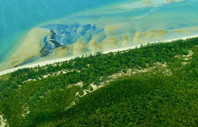Excursión a Daintree, Mossman Gorge y Cape Tribulation - Foto 7