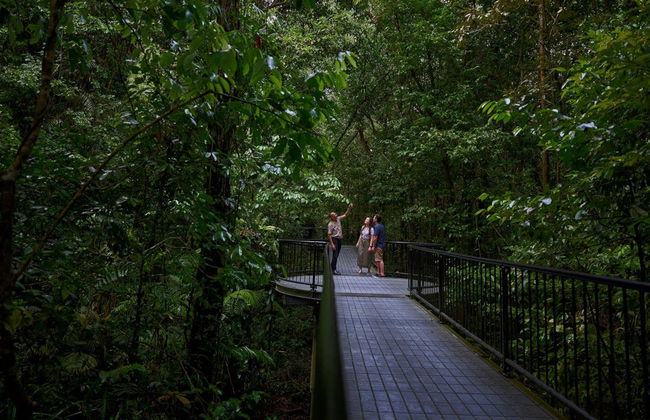 Excursión a Daintree, Mossman Gorge y Cape Tribulation - Foto 5