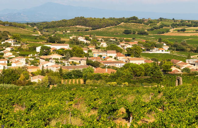 Châteauneuf du Pape Day Trip - Photo 2