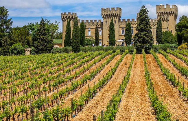 Excursión a Châteauneuf du Pape - Foto 1