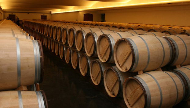 Excursión a Châteauneuf du Pape - Foto 5