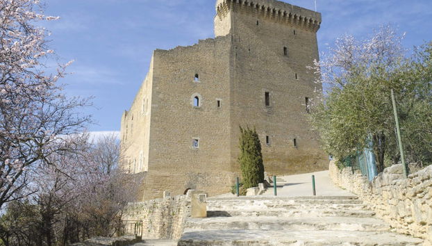 Excursión a Châteauneuf du Pape - Foto 4