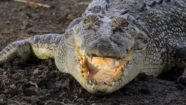 Kakadu National Park Day Trip - Photo 2