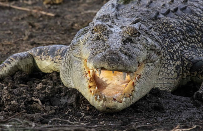 Kakadu National Park Day Trip - Photo 2
