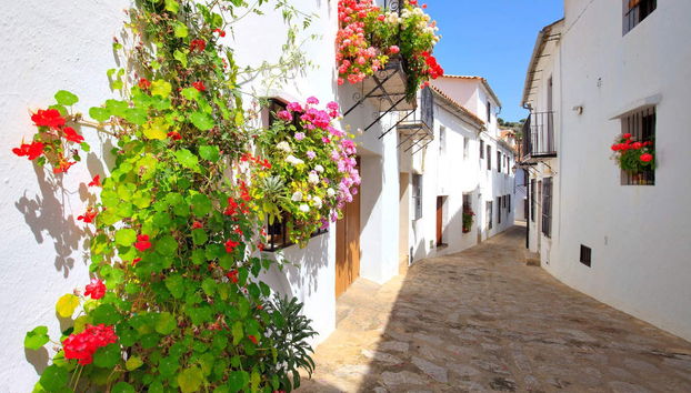 Excursión a los pueblos blancos - Foto 4