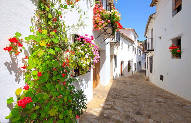 Excursión a los pueblos blancos - Foto 4