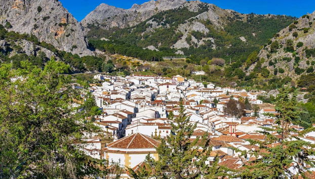 Excursión a los pueblos blancos - Foto 3