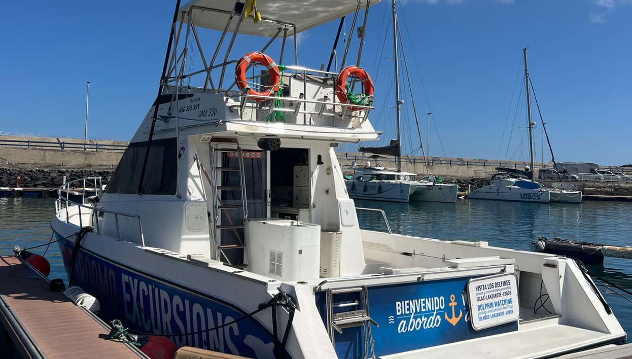 Whale Watching Catamaran Tour - Foto 1