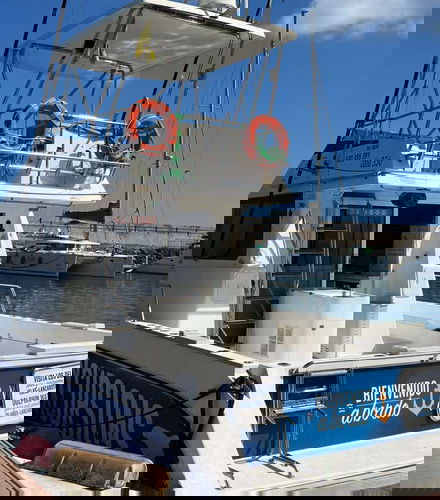 Foto de Paseo en catamarán con avistamiento de cetáceos desde Corralejo