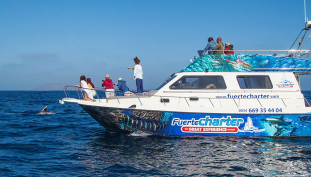 Whale Watching Catamaran Tour - Foto 5