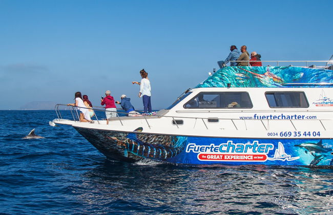 Paseo en barco con avistamiento de cetáceos desde Corralejo - Foto 3