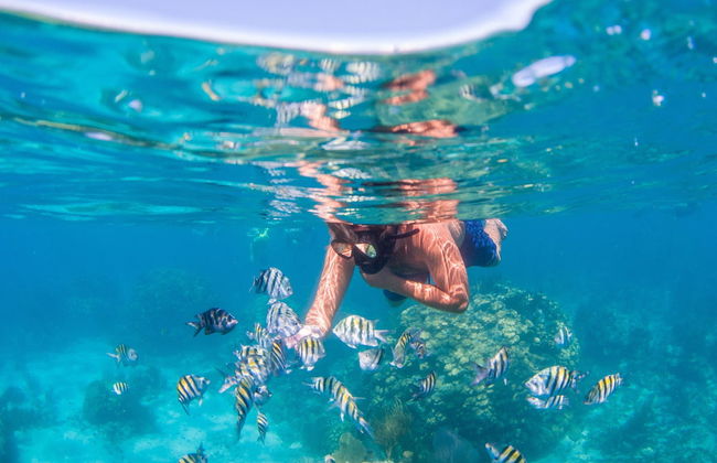 Boat Trip and Snorkeling Experience - Photo 1