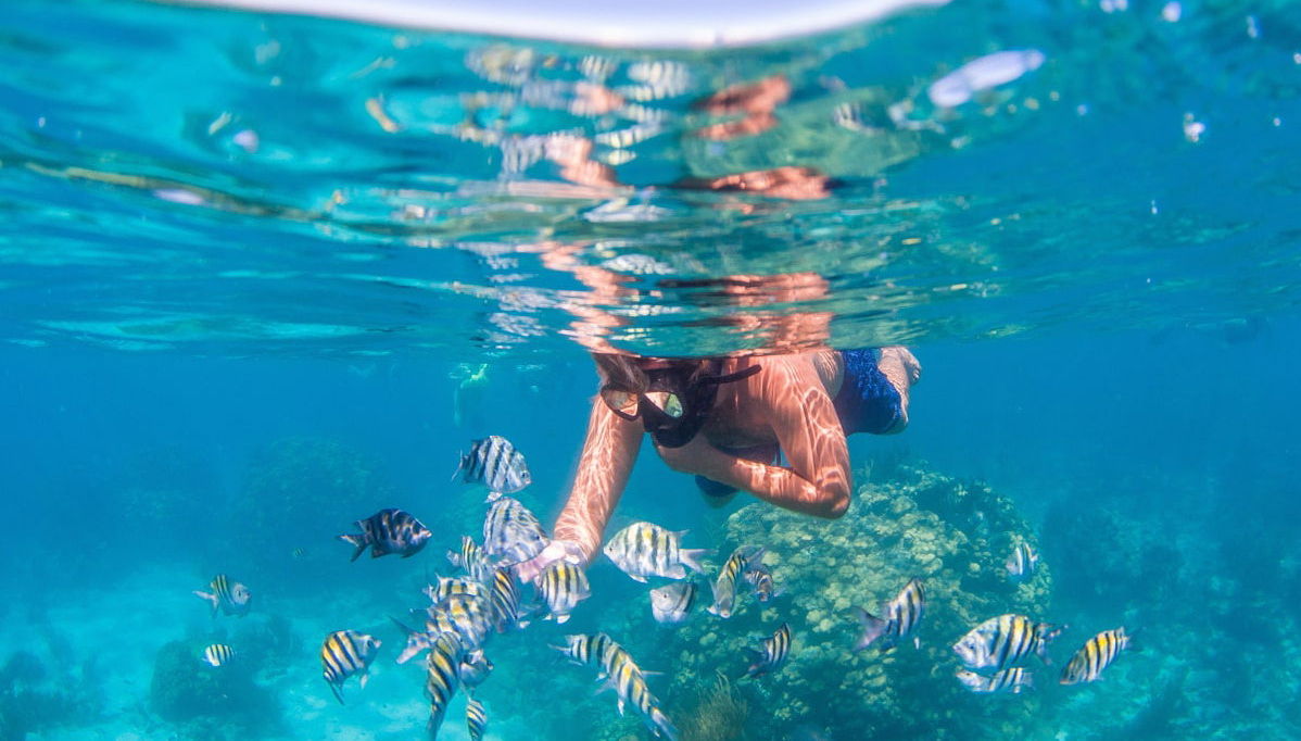 Boat Trip and Snorkeling Experience - Photo 1