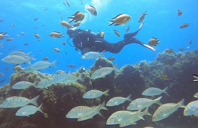 Bautismo de buceo en Puerto del Carmen - Foto 2