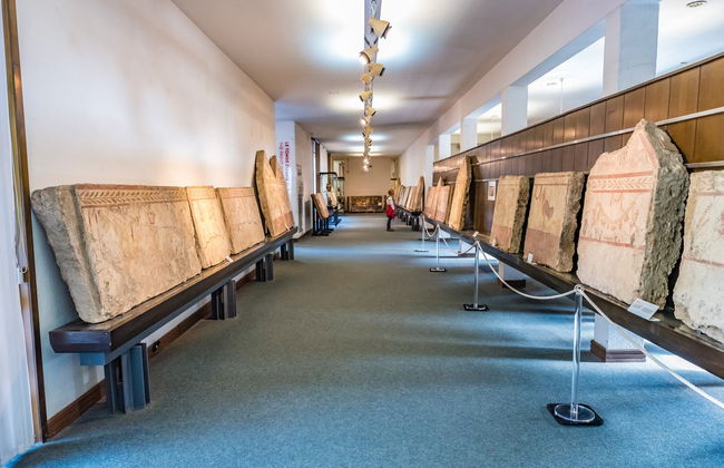 Paestum Archeological Park Private Tour - Foto 7