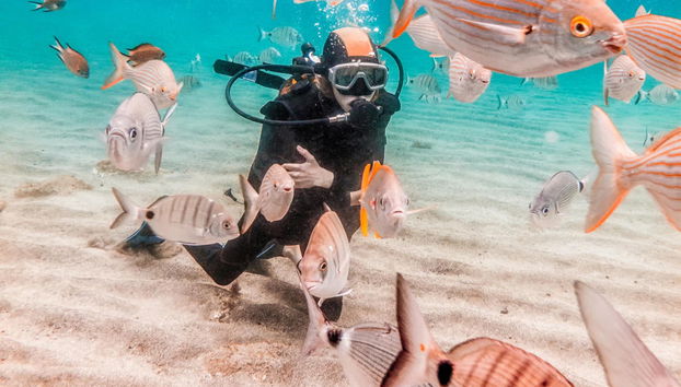 Immersione per principianti a Fuencaliente - Foto 5