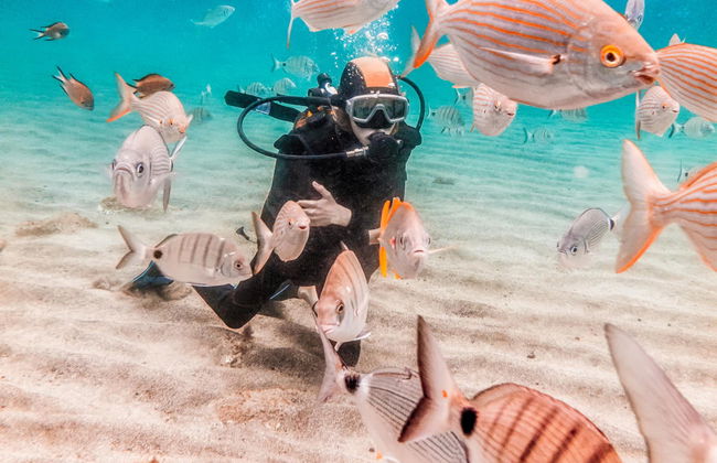 Baptême de plongée à Fuencaliente - Photo 5