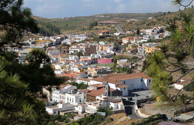 Tour in jeep al Teide e a Masca - Foto 7