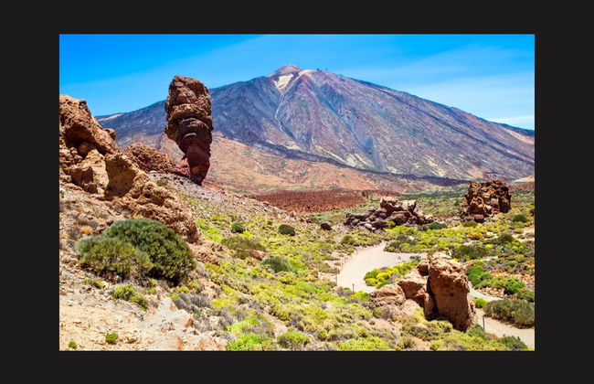Tour in jeep al Teide e a Masca - Foto 6