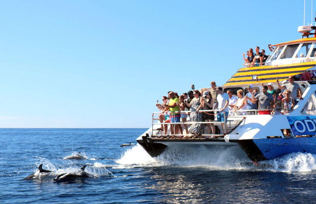 Glass Bottom Boat Cruise - Foto 3
