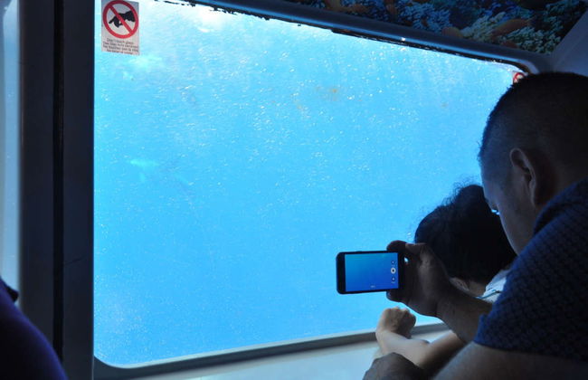 Glass Bottom Boat Cruise - Foto 7