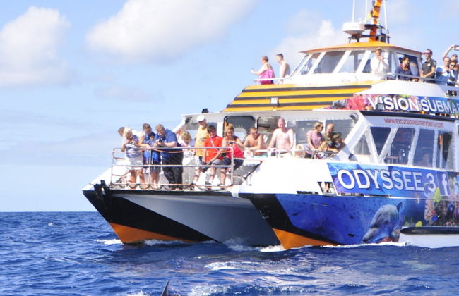 Glass Bottom Boat Cruise - Foto 11