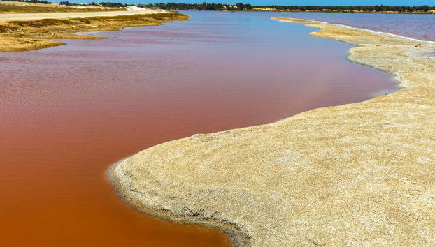 Excursión privada al Lago Rosa - Foto 4
