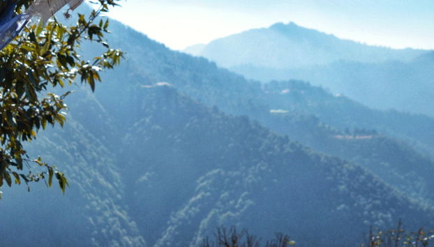 Hathipaon, George Everest House & Doon Valley - Photo 4