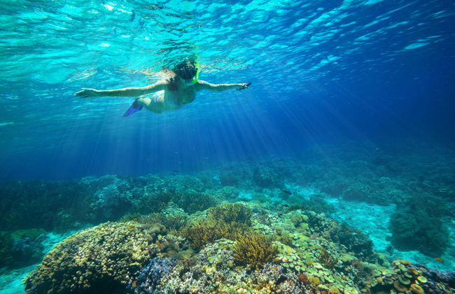 Tour privado en lancha rápida por Corón - Foto 6