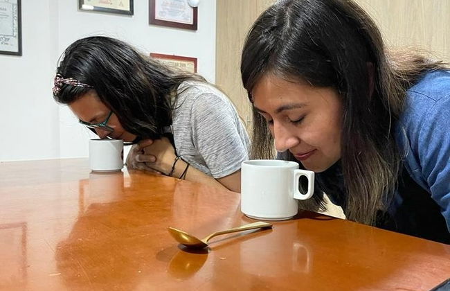 Oficina de café em Armênia - Foto 6