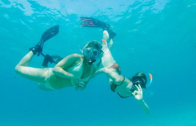 Malgrats Island Boat Trip + Snorkeling - Photo 2