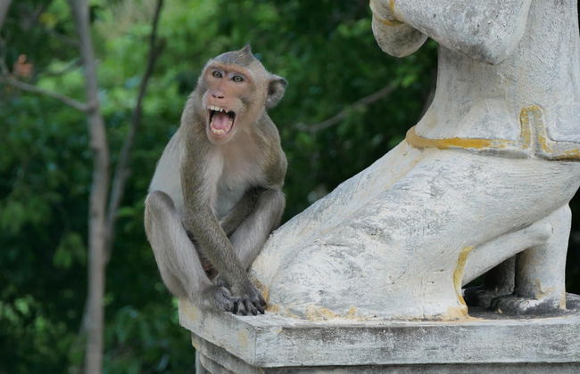 Battambang Tuk Tuk Sunset Tour - Photo 3