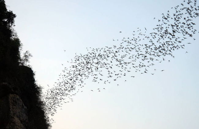Battambang Tuk Tuk Sunset Tour - Photo 4