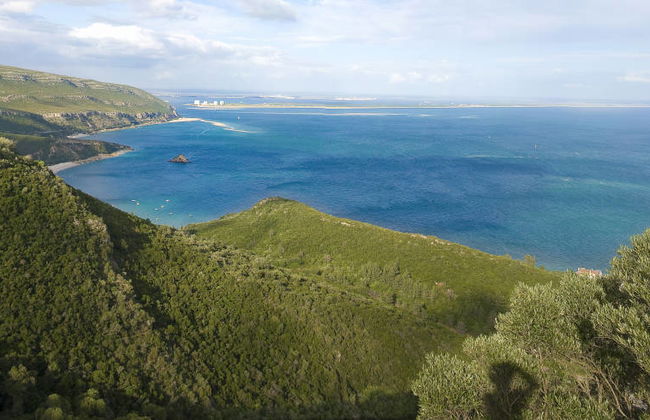 Tour por Arrábida + Cata de vinos - Foto 7