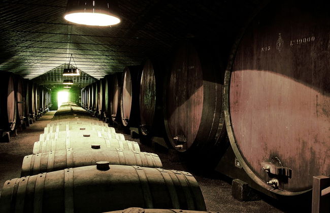 Tour por Arrábida + Cata de vinos - Foto 5