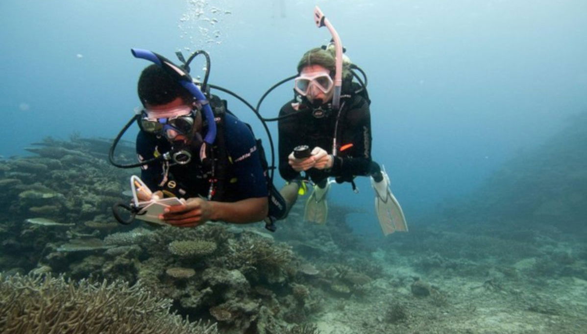 PADI Advanced Open Water Diver Course - Foto 1