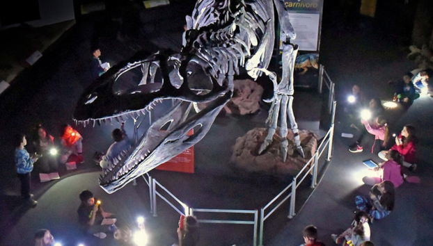 Chubut Valley Day Trip - Foto 2