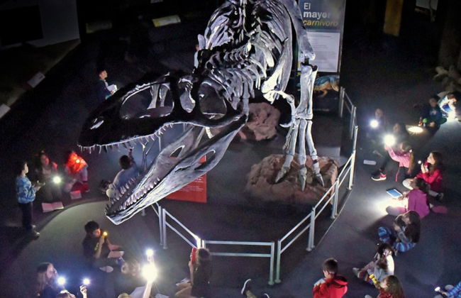 Excursion dans la vallée de la rivière Chubut - Photo 2