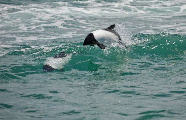 Excursion dans la vallée de la rivière Chubut - Photo 1