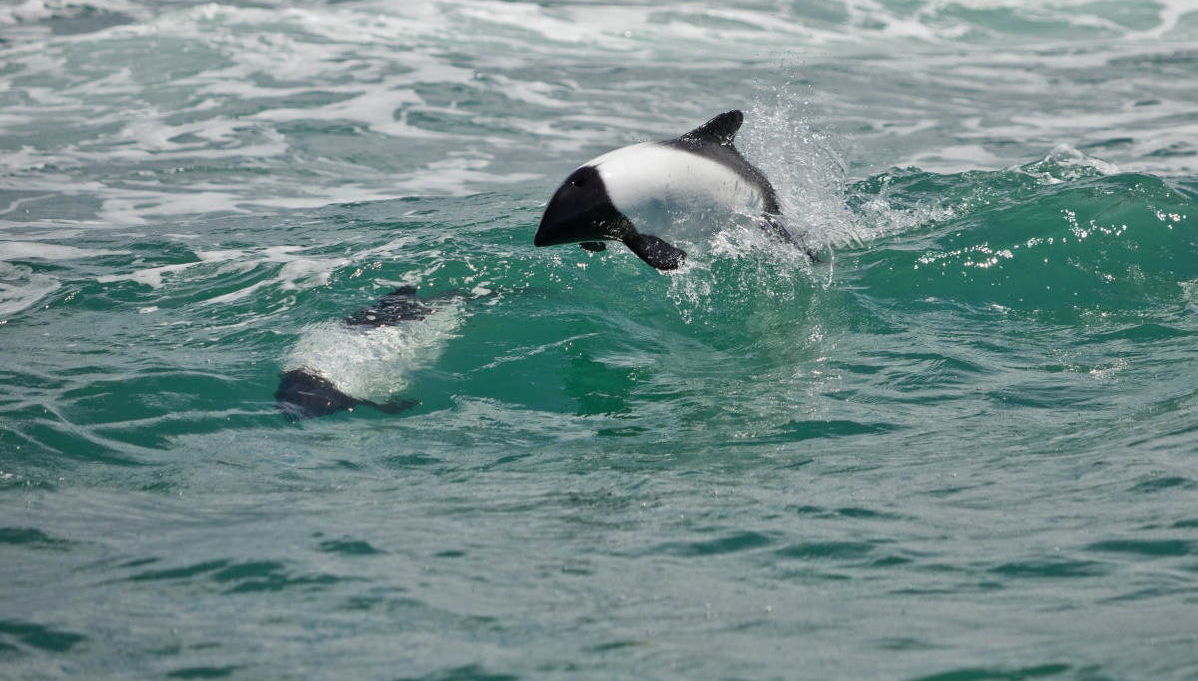 Chubut Valley Day Trip - Foto 1