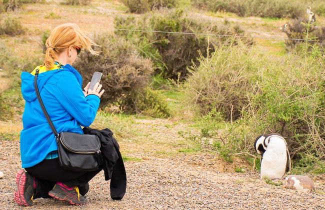 Excursión a Punta Tombo + Avistamiento de delfines - Foto 7