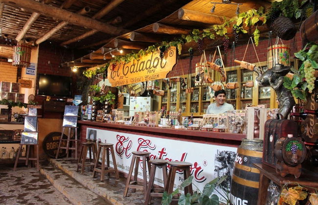 Tour privado por Ica - Foto 6