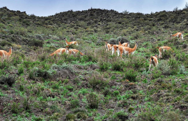 Villavicencio Reserve Trip - Photo 3
