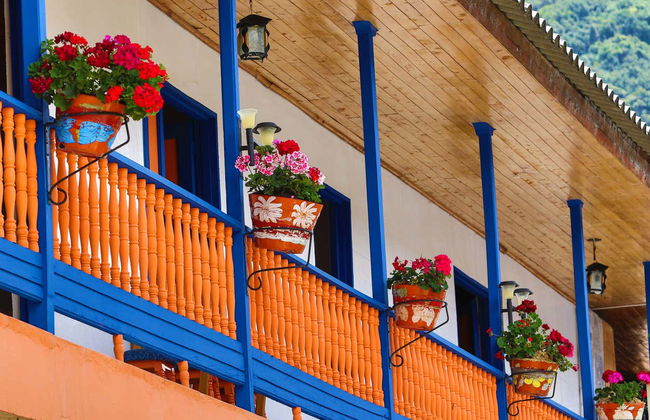 Jardín Tour - Foto 4