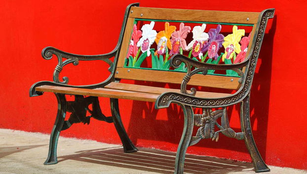 Jardín Tour - Foto 5