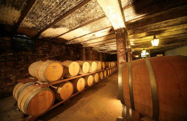 Visita a Bodegas Carrau - Foto 2